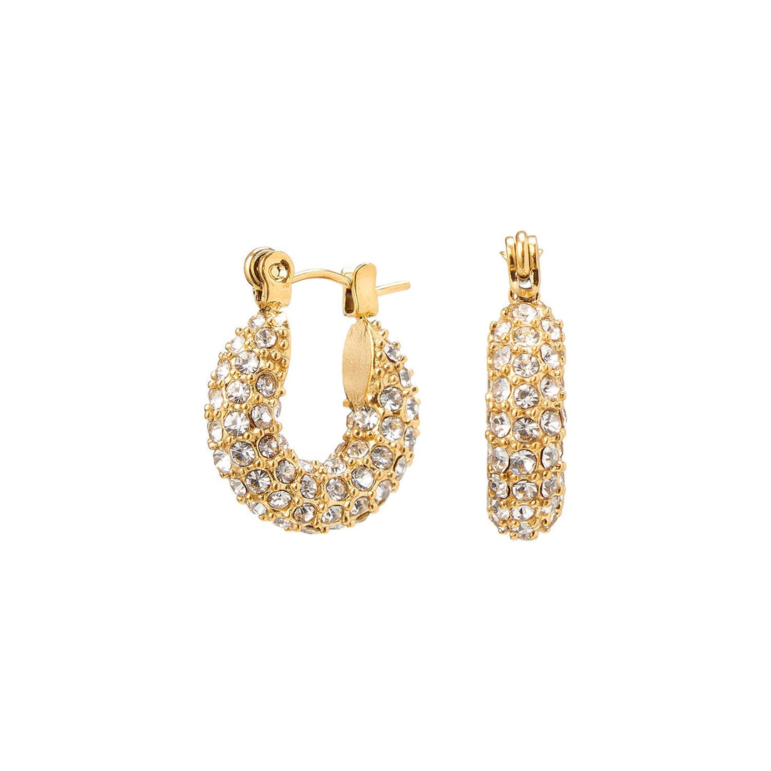 Arya | Dames Oorbellen met Zirconia en Hoepelvorm