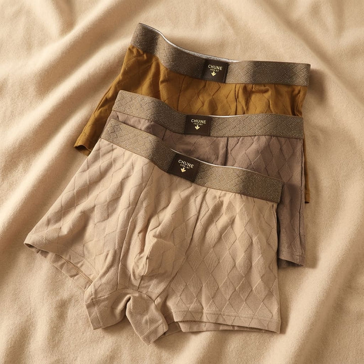 Navajo Organic Cotton Boxer Briefs Set